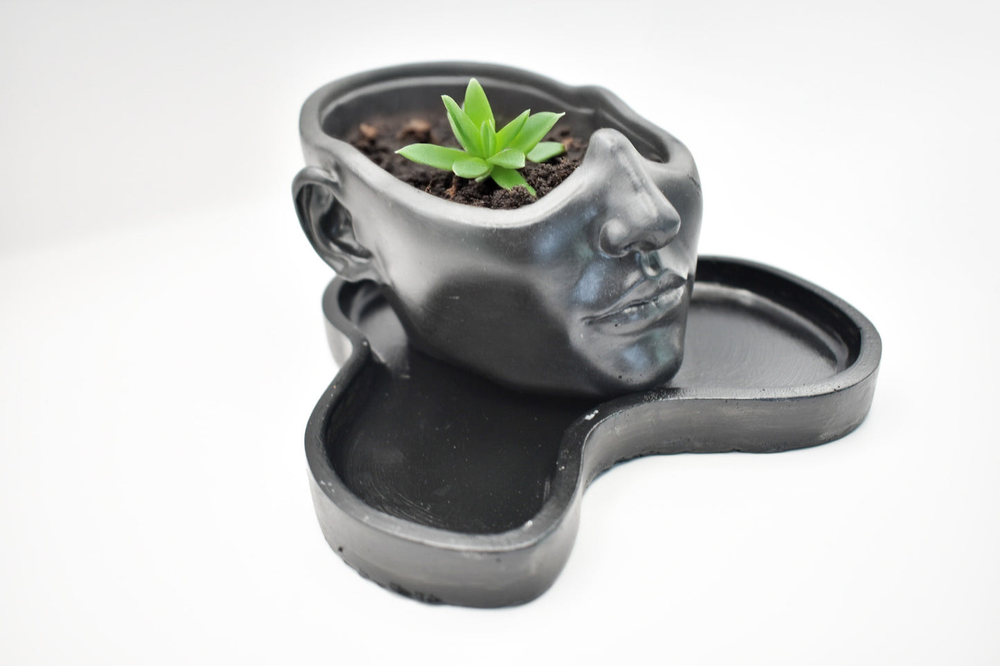 Face Bowl & Cloud Tray