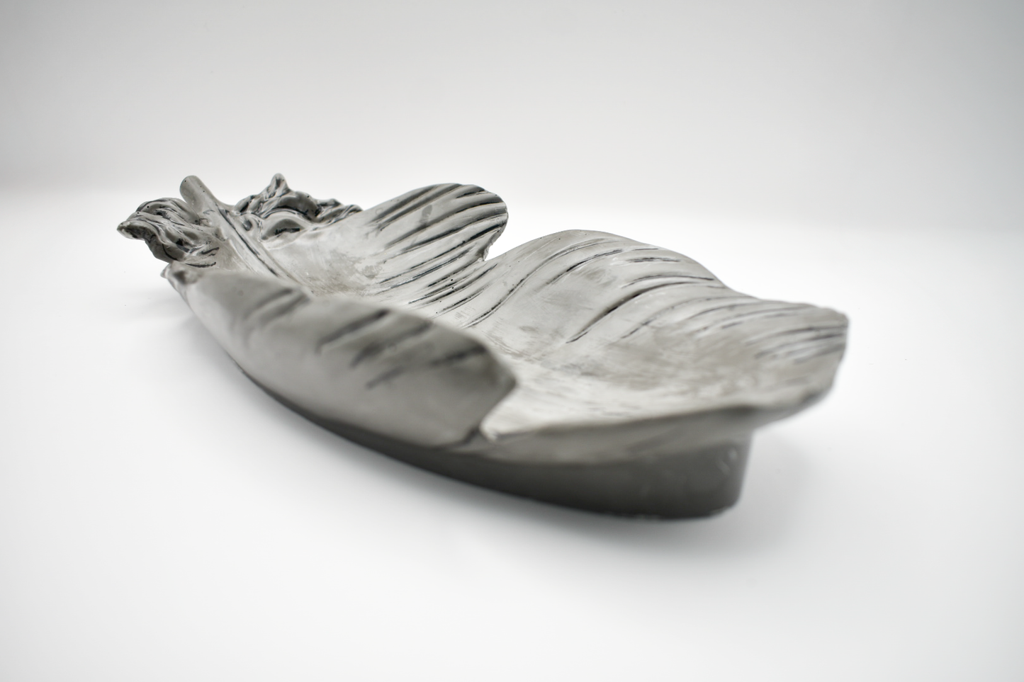 Feather-Shaped Tray