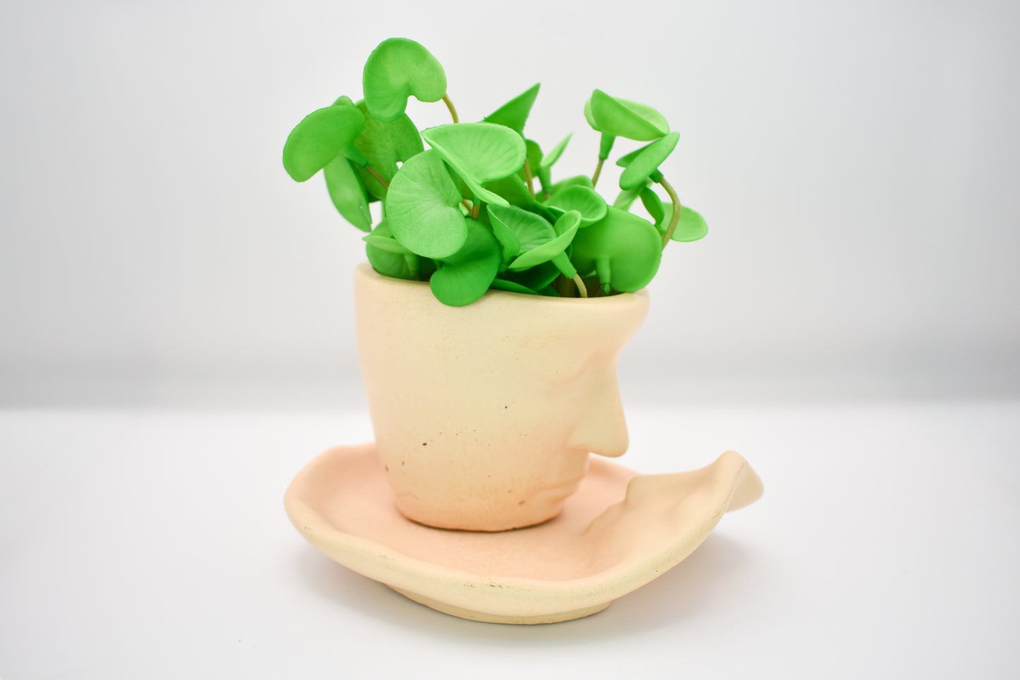 Kissing Face Tray & Cup Set