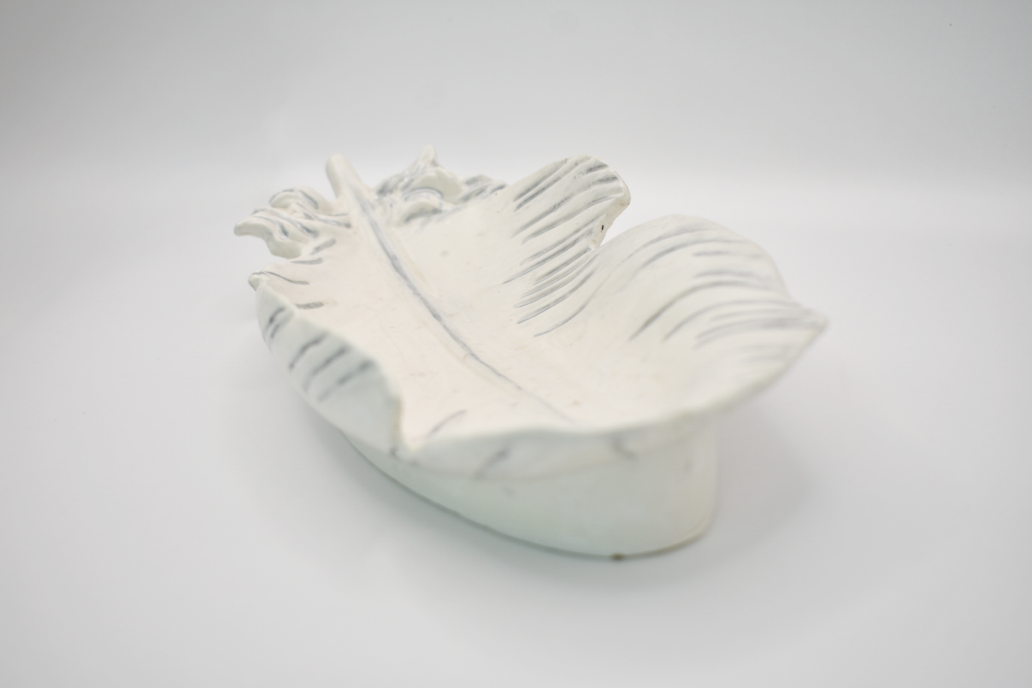 Feather-Shaped Tray