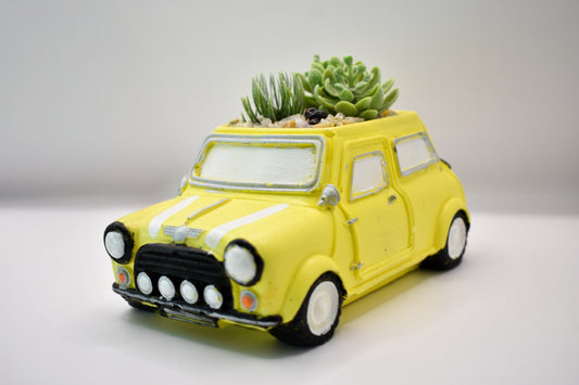 Mini Cooper planter