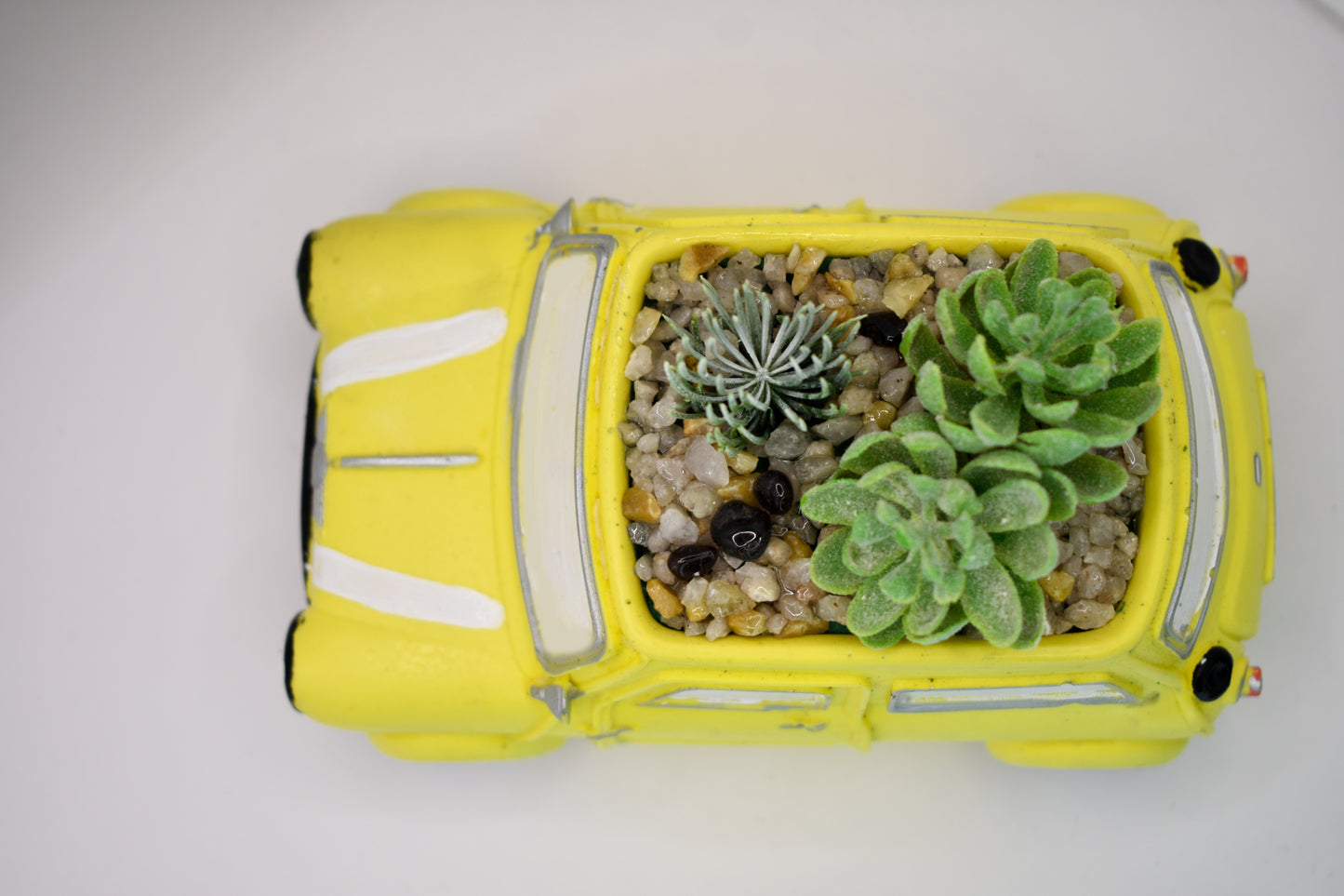 Mini Cooper planter