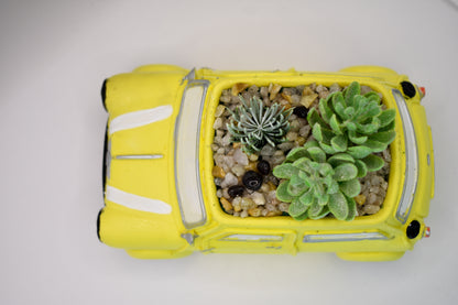 Mini Cooper planter